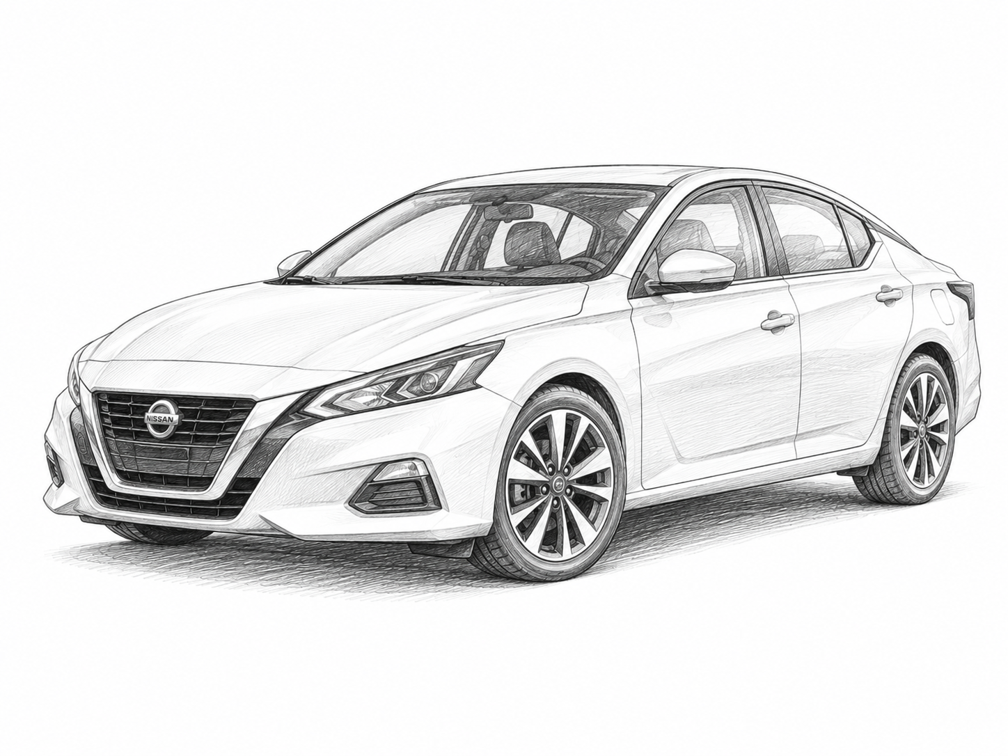 Sedans and Everyday Cars