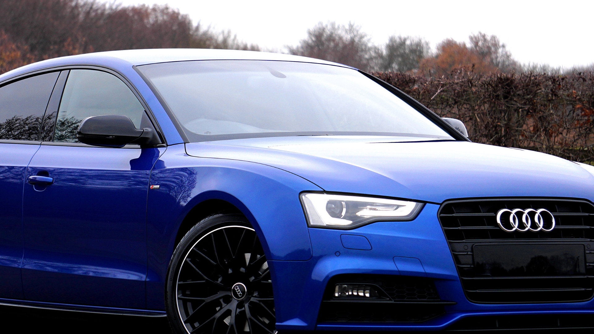 Audi vehicle on the road